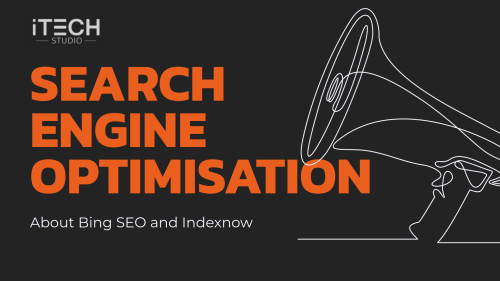 About Bing SEO and Indexnow